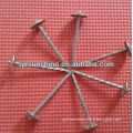 Plain shank Galvanized roofing nails with umbrella head